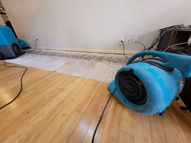 Professional Sewage Cleanup technician working in Finley, WA